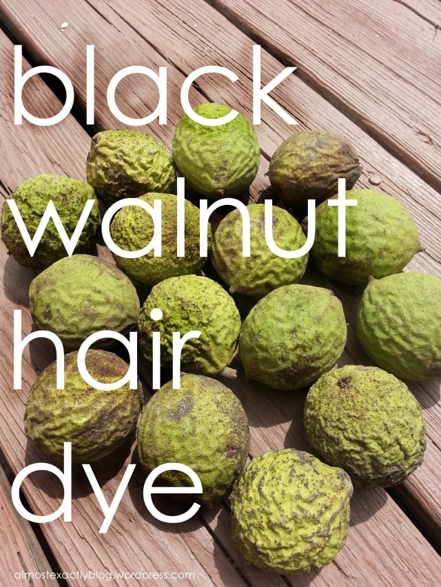 natural hair dye with black walnuts!