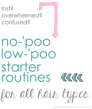 starter routines for various hair types to help with starting no-'poo or low-'poo